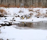 잃어버린 시민의식 '얼어붙은 빙판에 세워진 공공자전거'