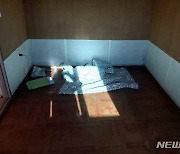 고성 주택 신축현장서 60대 2명 가스중독 '의식 불명'