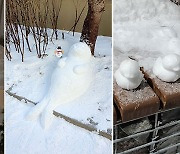 [이슈시개]눈사람은 옛말..폭설이 만든 오리·공룡·가오나시