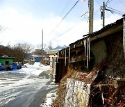 [모이] 지리산 산수유 마을의 겨울
