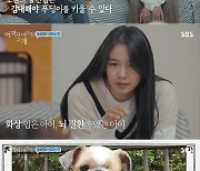 '어쩌개' 조윤희 "딸 로아? 얼굴 작아서 나 닮았다고..톰보이 스타일"→티파니도 '깜짝' [종합]