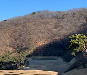 '가성비' 골프장과 차량, 볼보 V60과 큐로CC [박시진 기자의 골카]