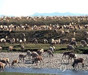 Arctic Refuge Drilling