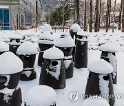 대설 특보 내려진 전북에 폭설..9일까지 최대 30cm 더온다(종합)