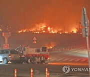 '축구장 1천700개 잿더미' 강원 산불 실화 혐의 한전 7명 기소