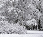 POLAND WEATHER WINTER