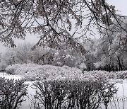 POLAND WEATHER WINTER