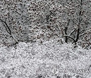 POLAND WEATHER WINTER