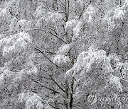 POLAND WEATHER WINTER