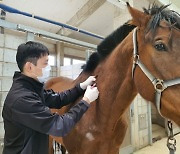 한국마사회, 말 전염병 퇴치 위한 전국 말 방역사업 완료