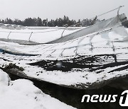 충북농기원, 한파·폭설 대비 농업시설물 점검 당부