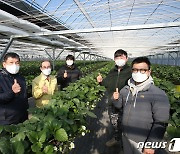 청도군, 청년후계농·후계농업경영인 지원사업 신청