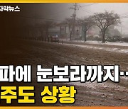 [자막뉴스] 한파에 세찬 눈보라까지..제주도 상황