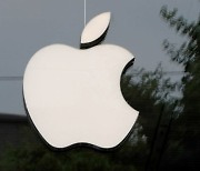 애플, 현대차를 협력사 후보로 꼽은 까닭은