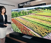 삼성 '네오 QLED' 공개, 불붙은 미니LED TV 시장