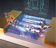 KAIST, '핫 전자' 이용해 온실 가스 저감 원리 규명