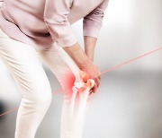 추우니까 더 시린 무릎, 관절염 예방하려면?