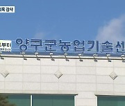 양구 영농조합 대표, 보조금 부정 수급 의혹