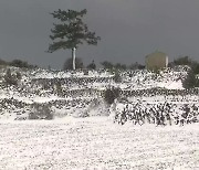 제주 동부 폭설에 한파..월동 채소 피해 우려