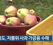 충청북도, 저품위 사과 가공용 수매