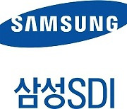 Samsung SDI replaces electric-car battery chief