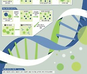 앗! 바이러스의 실수..복제 중 삐끗하면 '돌연변이'가 나온다 [Science]