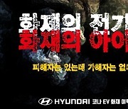 [그래픽뉴스] 화제의 전기차, '화재'의 아이콘