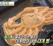 '생방송투데이' 울진 대게 여행, 치즈 대게구이 + 대게빵 [TV캡처]