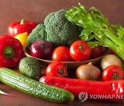 [김길원의 헬스노트] 컬러푸드에 담긴 건강.."비만·암 예방효과도"