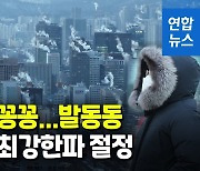 정점 오른 북극한파..서울 35년 만에 최강추위 영하 18.6도(종합)