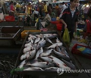CAMBODIA FISHERY EXPORT