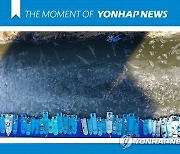 [모멘트] 얼어붙은 낙동강 나루터