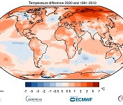 "2020년, 2016년과 함께 역대 가장 따뜻했던 해"