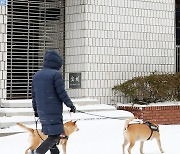 눈 와서 더 즐거운 산책