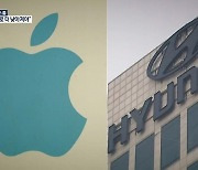 "현대차, '애플카' 협력 협의중"..시장 '들썩'