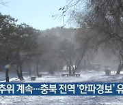 강추위 계속..충북 전역 '한파경보' 유지