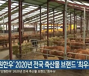 '강원한우' 2020년 전국 축산물 브랜드 '최우수'