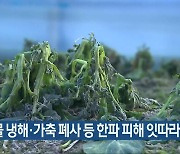 전북, 농작물 냉해·가축 폐사 등 한파 피해 잇따라