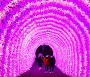 [Eye Plus] Gapyeong's garden of fantastic lights