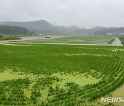 창녕군, 농업수리시설물 현대화사업..원년의 해로 선정