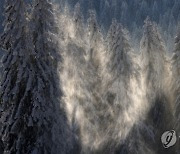 GERMANY WEATHER FELDBERG MOUNTAIN