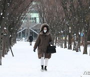 [오늘의 날씨]대전·충남(10일, 일).. 강추위에 1~5cm 눈