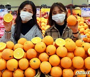 '오렌지 먹고 비타민 충전'