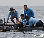 인도네시아 구조대, 자바해 추락 여객기 신호 포착