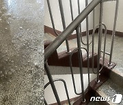 소화전 동파로 빙판이 된 아파트 계단