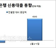 신용대출 재개되자.. 4534억 폭발적 급증