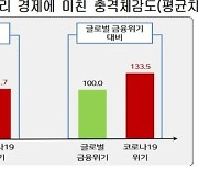 "코로나19 경제쇼크, IMF와 비슷한 수준"