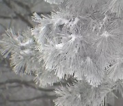 제주 기상특보 모두 해제..산간 일부 도로 교통 통제