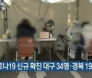 코로나19 신규 확진 대구 34명·경북 19명