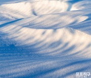 [포토친구] 눈 내린 사막